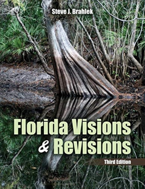 Florida Visions and Revisions