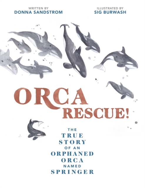 Orca Rescue!