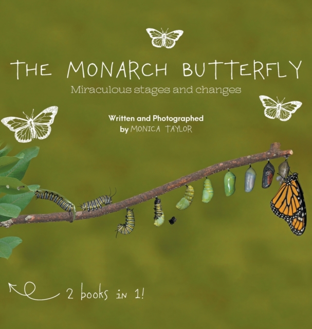 Monarch Butterfly and The Cecropia Moth