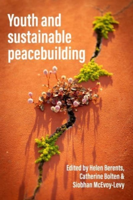 Youth and Sustainable Peacebuilding