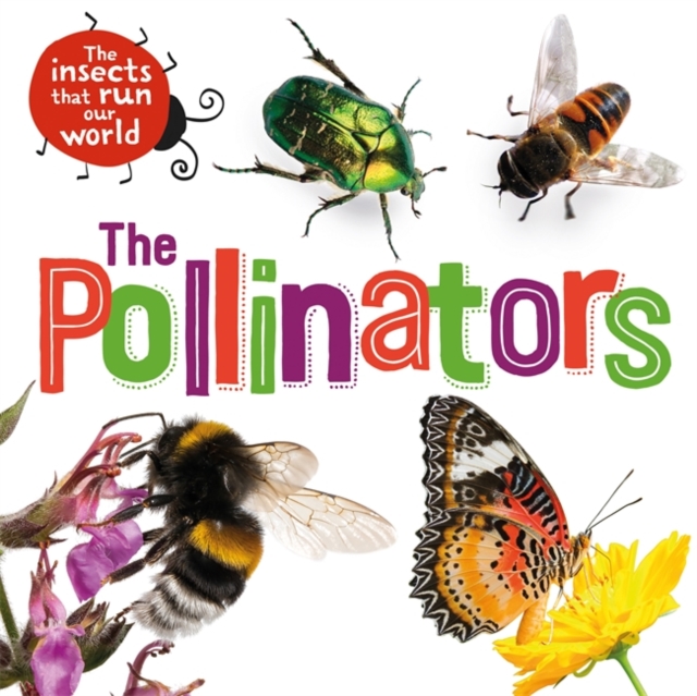 Insects that Run Our World: The Pollinators