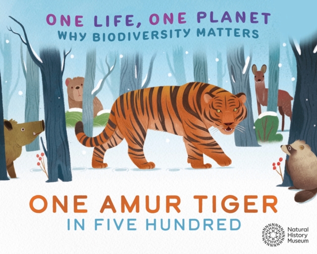 One Life, One Planet: One Amur Tiger in Five Hundred