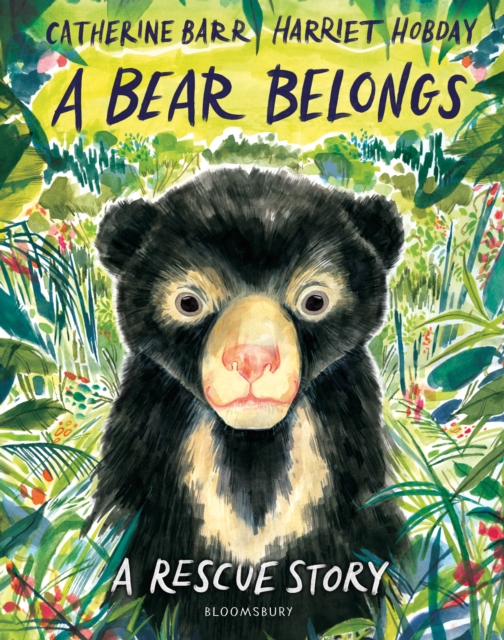 Bear Belongs