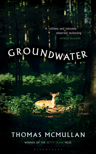 Groundwater