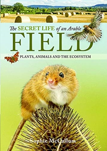 Secret Life of an Arable Field