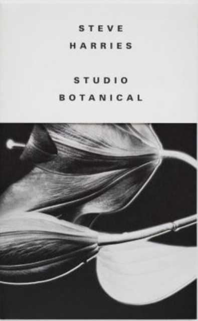 Studio Botanical