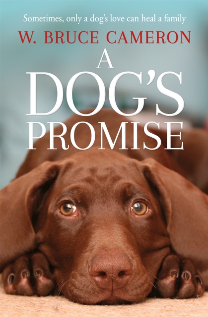 Dog's Promise