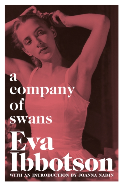 Company of Swans