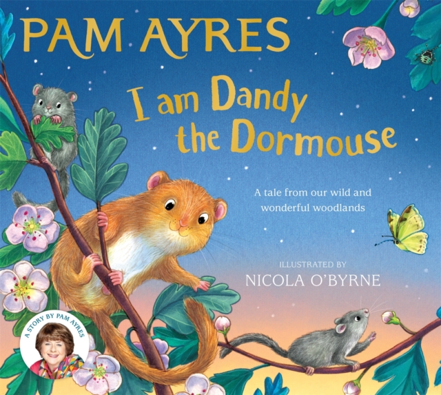 I am Dandy the Dormouse