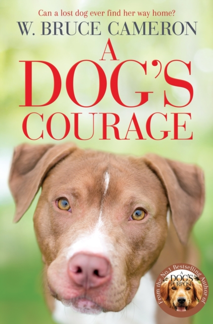 Dog's Courage