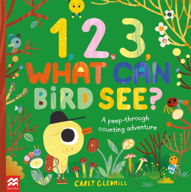 1, 2, 3, What Can Bird See?