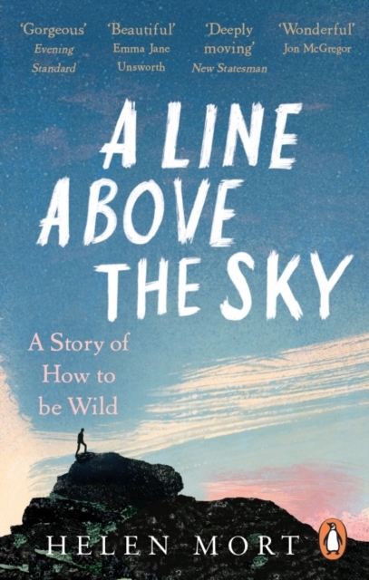 Line Above the Sky