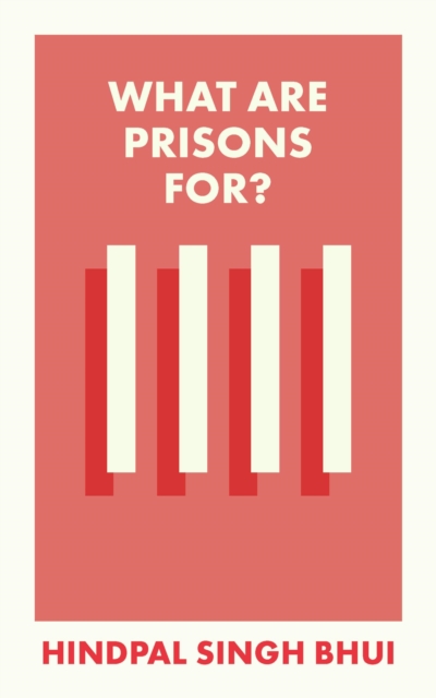 What Are Prisons For?