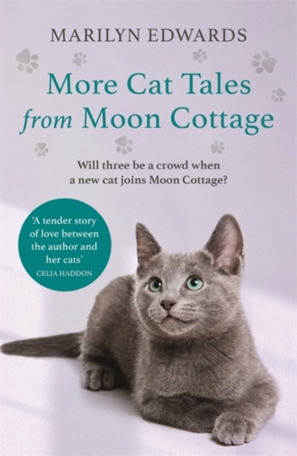 More Cat Tales From Moon Cottage