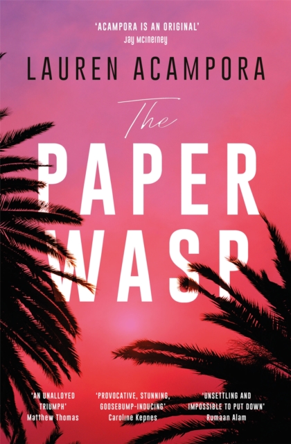 Paper Wasp
