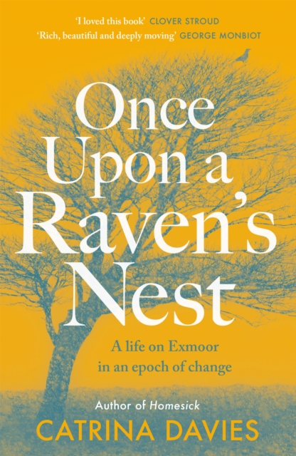 Once Upon a Raven's Nest