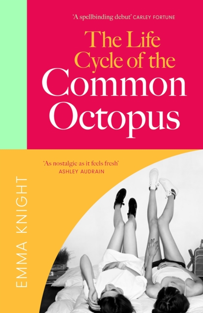 Life Cycle of the Common Octopus