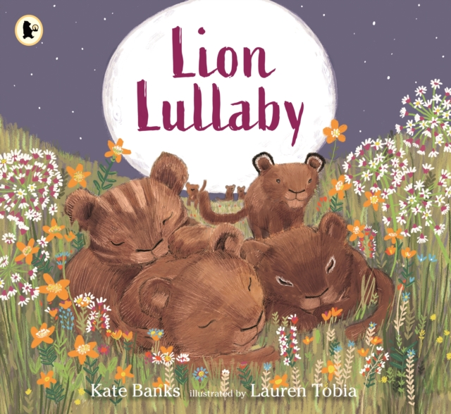 Lion Lullaby