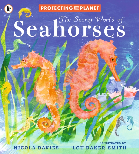 Protecting the Planet: The Secret World of Seahorses
