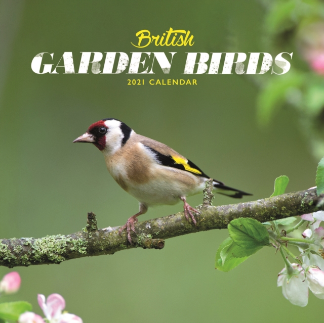 British Garden Birds Mini Square Wall Calendar 2021