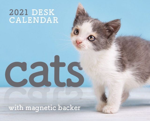 Cats Mini Box Calendar 2021