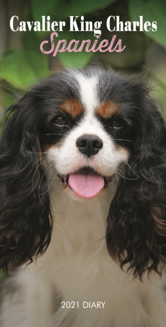 Cavalier King Charles Spaniels Slim Diary 2021