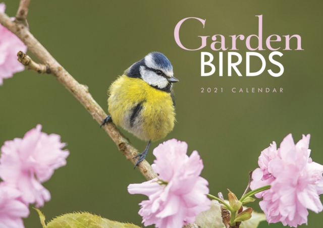 Garden Birds A4 Calendar 2021