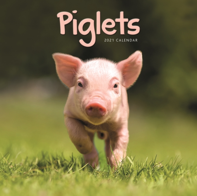 Piglets Mini Square Wall Calendar 2021