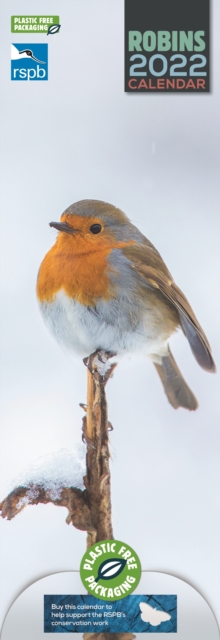 RSPB Robins Slim Calendar 2022