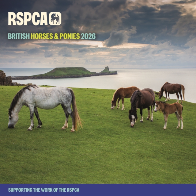 Rspca British Horses Ponies Square Wall