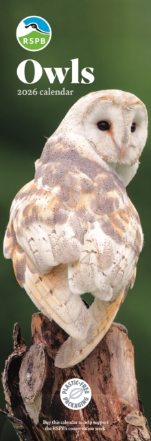 Rspb Owls Slim Calendar 2026