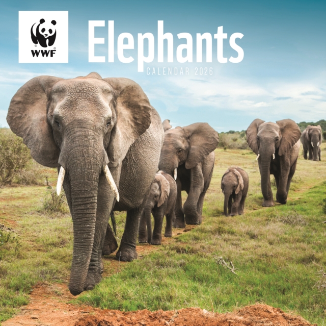 Wwf Elephants Square Wall Calendar 2026