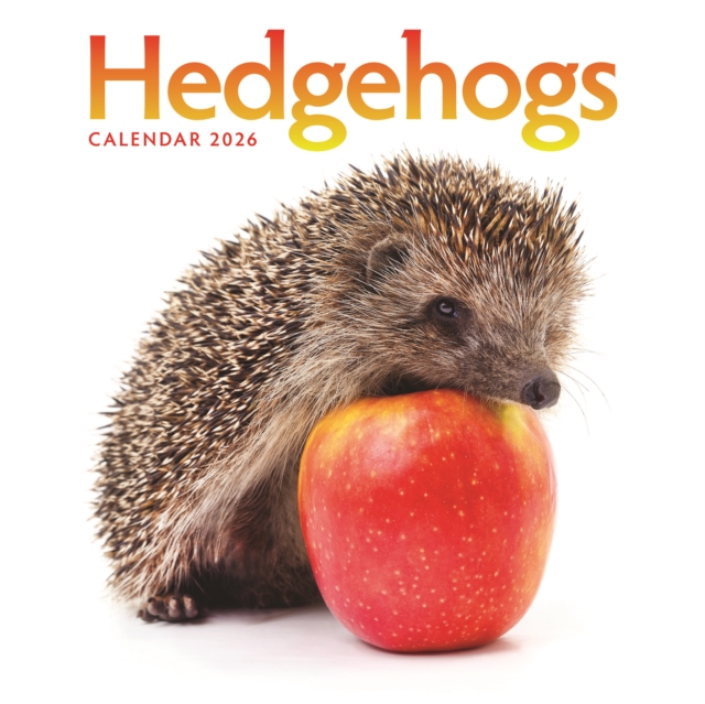Hedgehogs Square Wall Calendar 2026