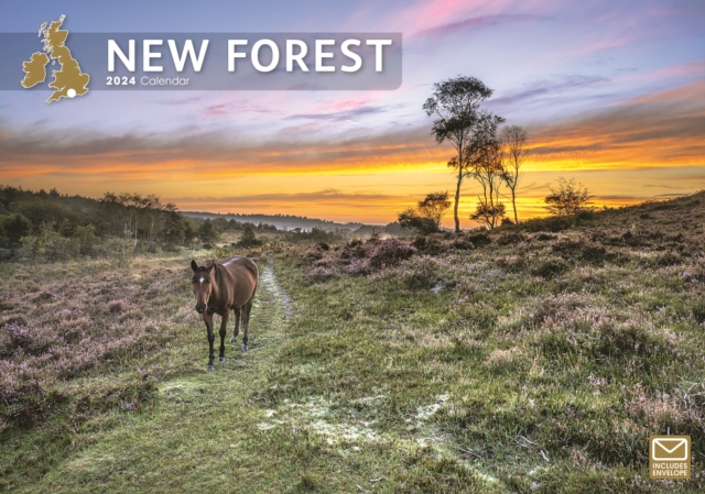 New Forest A4 Calendar 2024