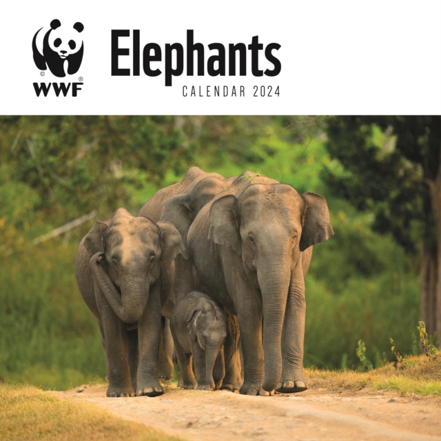 WWF Elephants Square Wall Calendar 2024