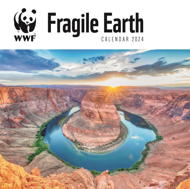 WWF Fragile Earth Square Wall Calendar 2024