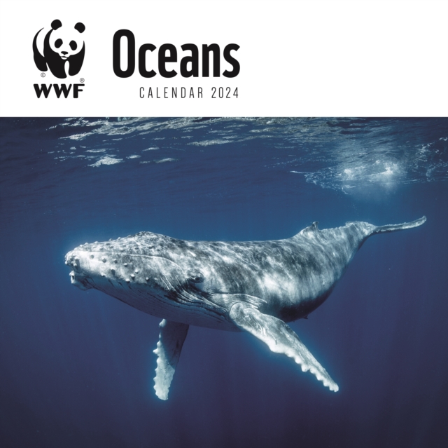 WWF Oceans Square Wall Calendar 2024