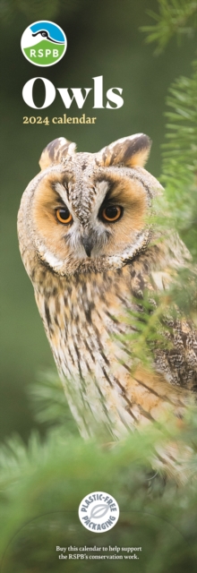 RSPB Owls Slim Calendar 2024