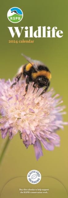 RSPB Wildlife Slim Calendar 2024