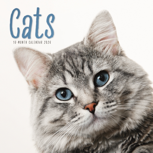 Cats Square Wall Calendar 2026