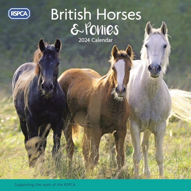 RSPCA British Horses & Ponies Square Wall Calendar 2024