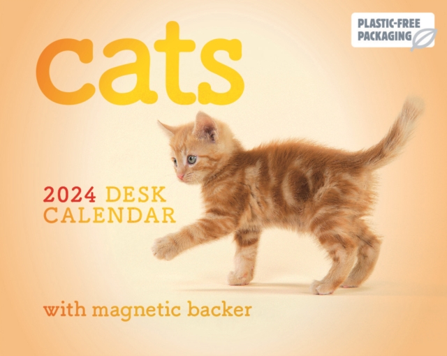 Cats Mini Box Calendar 2024