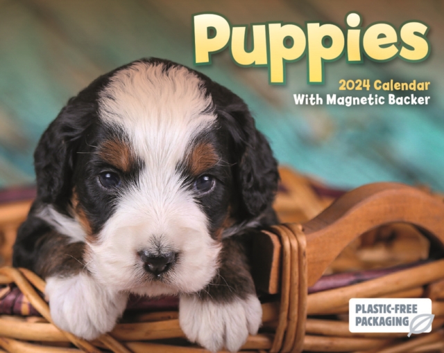 Puppies Mini Box Calendar 2024