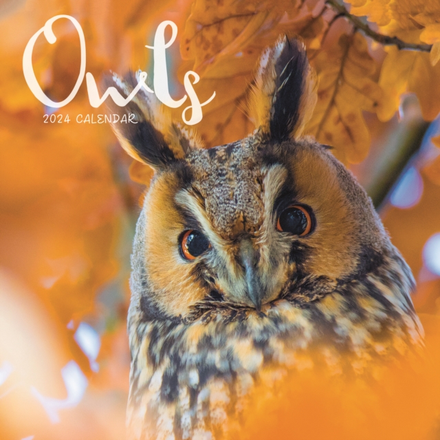 Owls Mini Calendar 2024