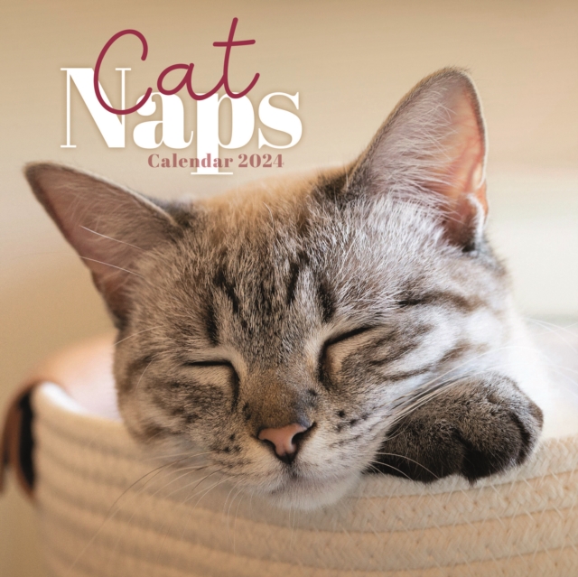 Cat Naps Mini Calendar 2024