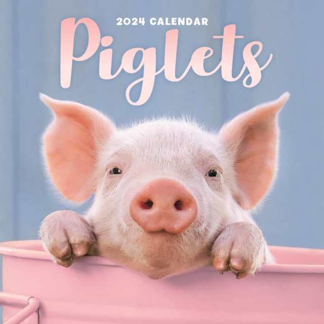 Piglets Mini Calendar 2024