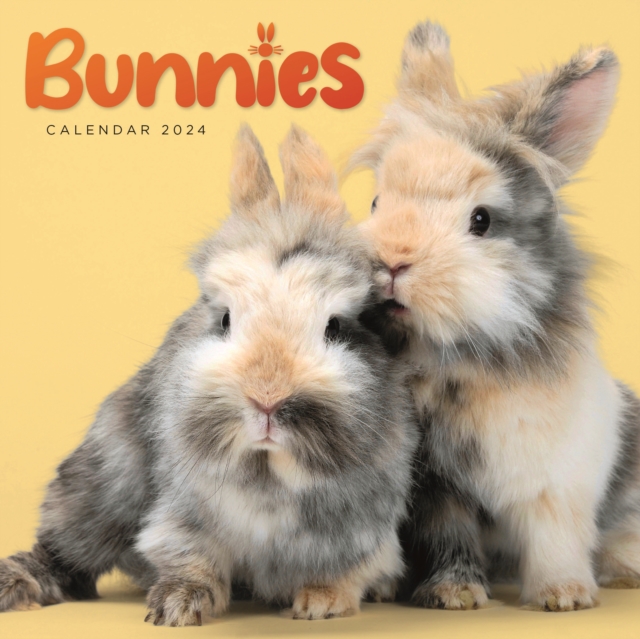 Bunnies Mini Calendar 2024