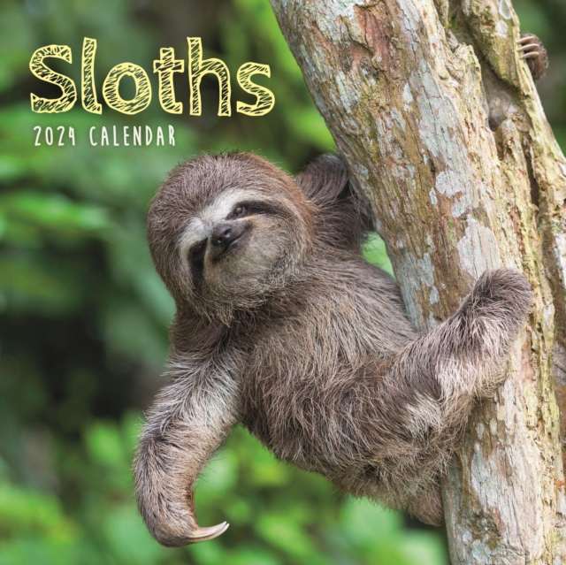 Sloths Mini Calendar 2024