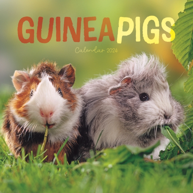 Guinea Pigs Mini Calendar 2024