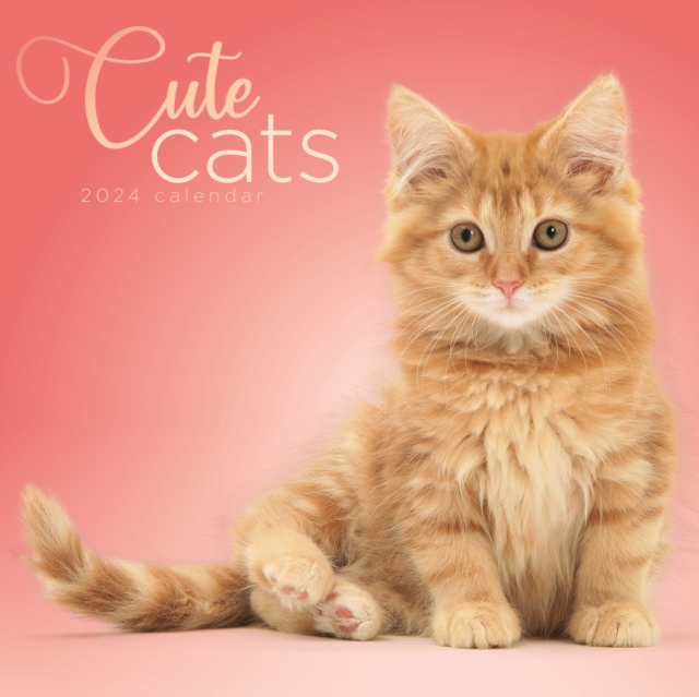 Cute Cats Square Wall Calendar 2024